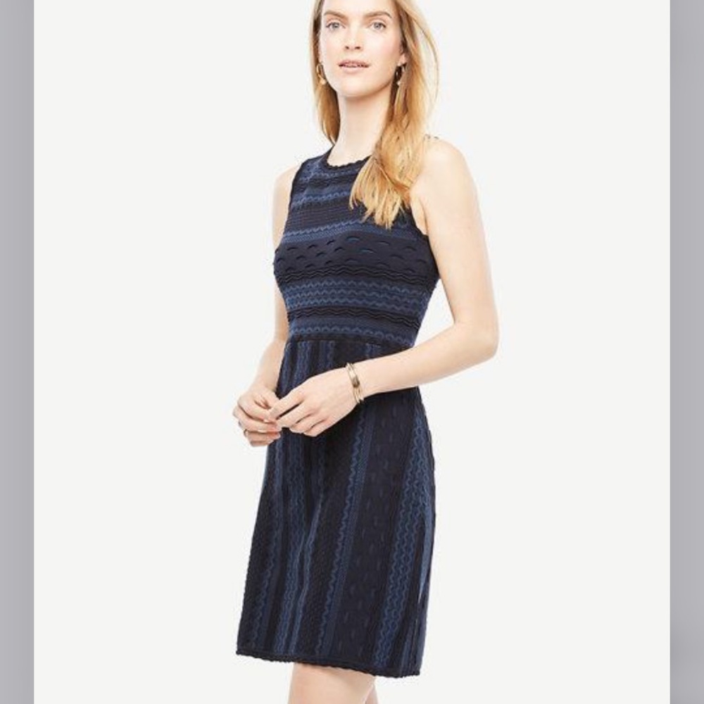Ann Taylor Texture Stitch Atlantic Navy Sleeveless Dress - Size Small